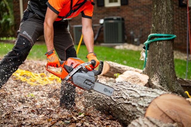 Chainsaws